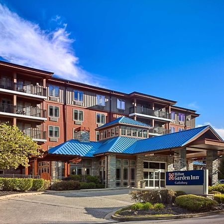 Hilton Garden Inn גטלינבורג מראה חיצוני תמונה
