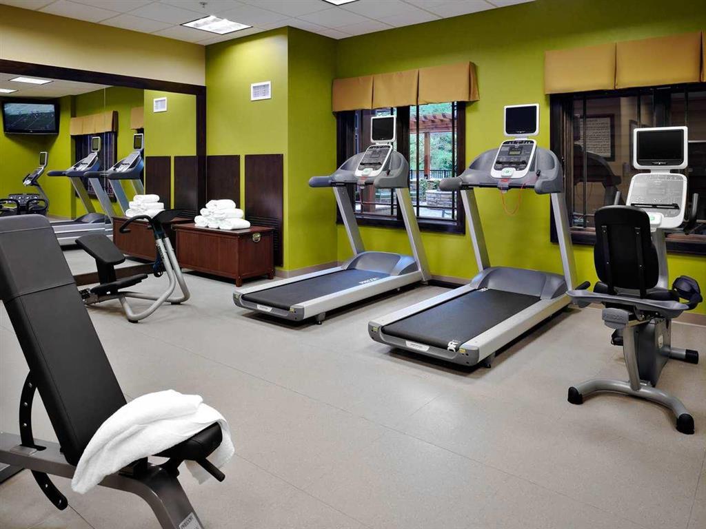 Hilton Garden Inn גטלינבורג מתקנים תמונה